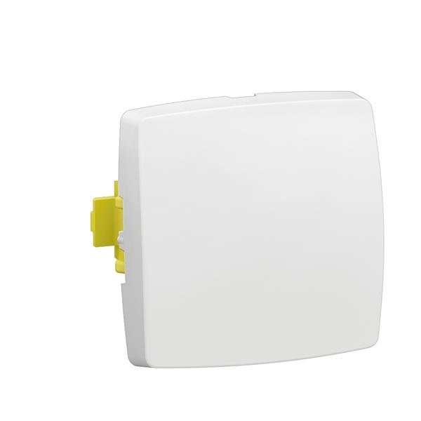 Oteo wissel of drukknop 10A-250V samenst. apparaat-wit