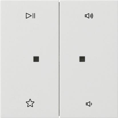 wip 2-v audiobest. Gira F100 z.wit