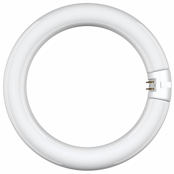 CIRCLINE 32 W.840  T9 (20)
