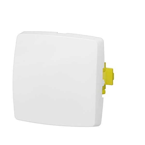 Oteo tweep. schakelaar 10A-250V samenst. apparaat-wit