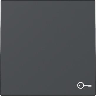 basc. sym.porte System 55 anthracite