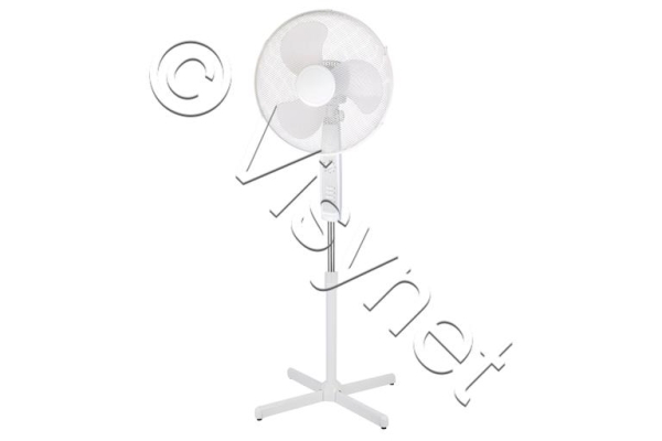 DTI1                       FOFOFUMEE