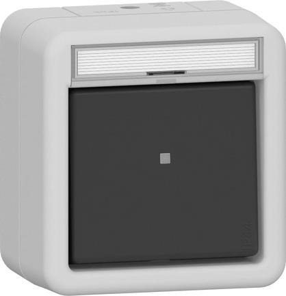 BP basc. inverseur ZI Mont.app. prot.eau gris