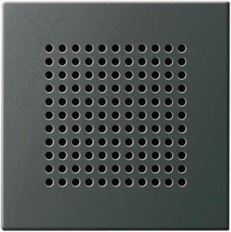 Plaque Haut-parleur System 55 acier inoxydable