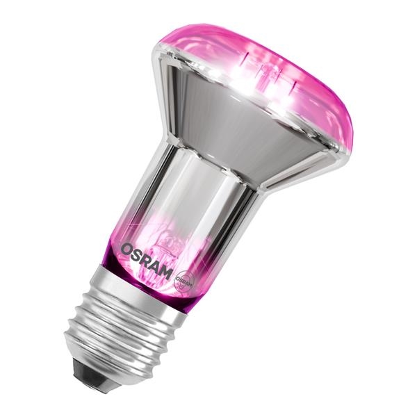 *4099854245138*LEDS R63 GROW LAMP7,5W230VFILE276X1