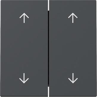 bascule 2x flèches System 55 anthracite