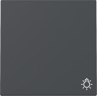 wip sym.licht System 55 antraciet