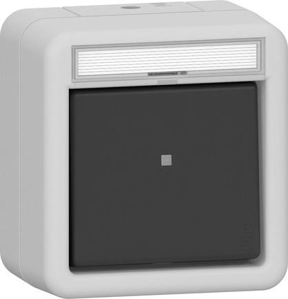 BP basc. inverseur ZI Mont.app.étanche gris