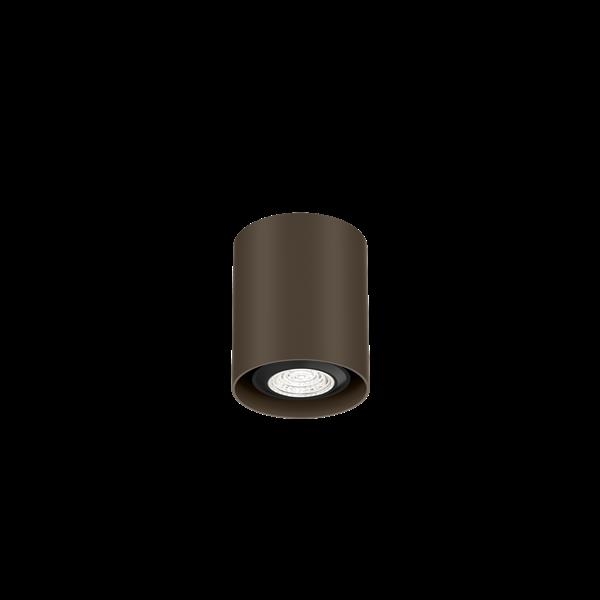 RAY MINI CEILING SURF 1.0 PAR16 Q