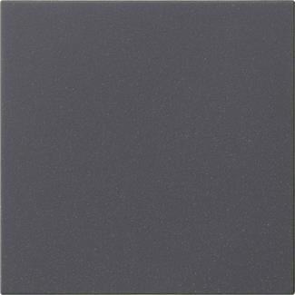 bascule 1x s.impr. System 55 anthracite