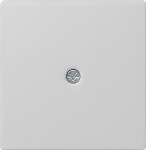 afd. snoeraftakking verb.doos System 55 grijs m