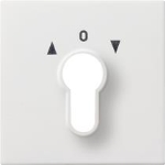 afd. sleutelsch./-drukc. Gira F100 z.wit