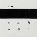 S3000 jl.-/schakelklok Display Gira F100 z.wit